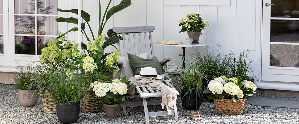 trendy terrasse med gr&oslash;nne planter