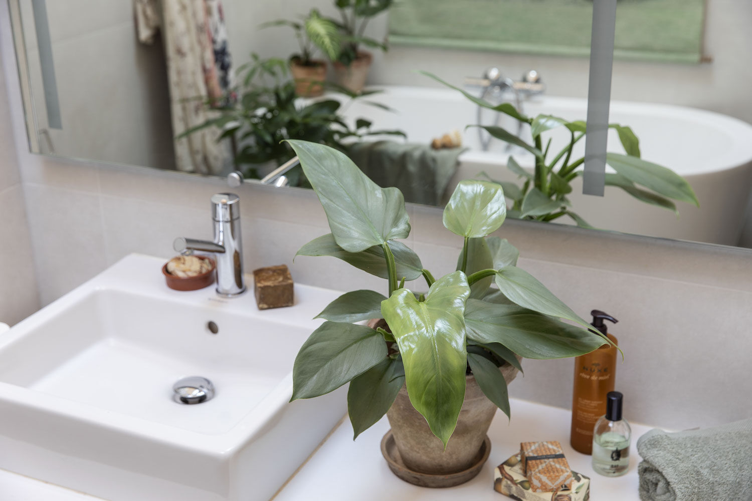 Gr&oslash;nne planter p&aring; badet