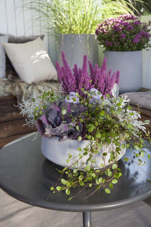H&oslash;stblomster