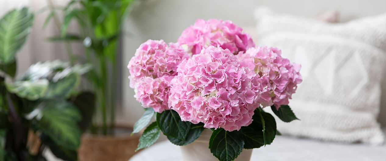 Gavetips med blomster