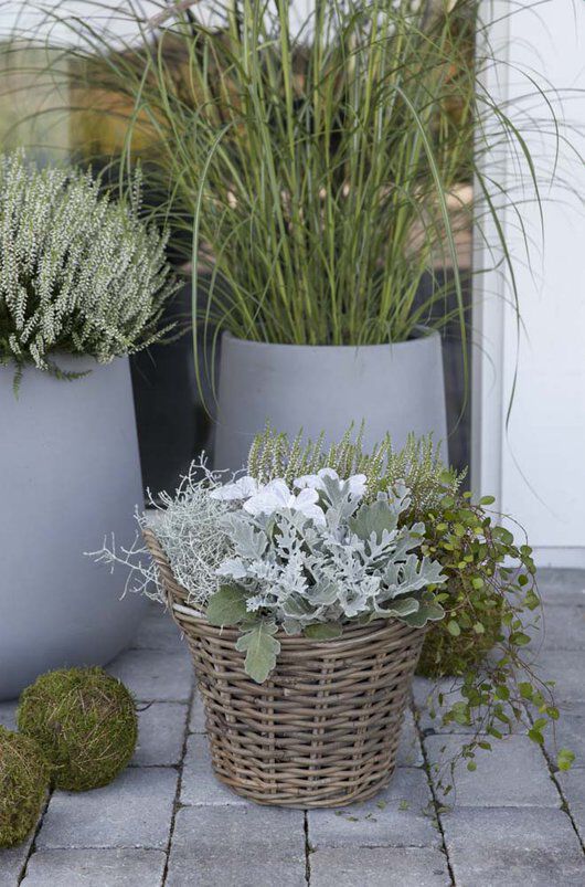 H&oslash;stblomster