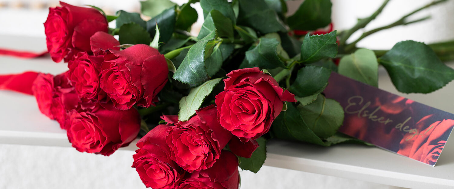 R&oslash;de roser valentine