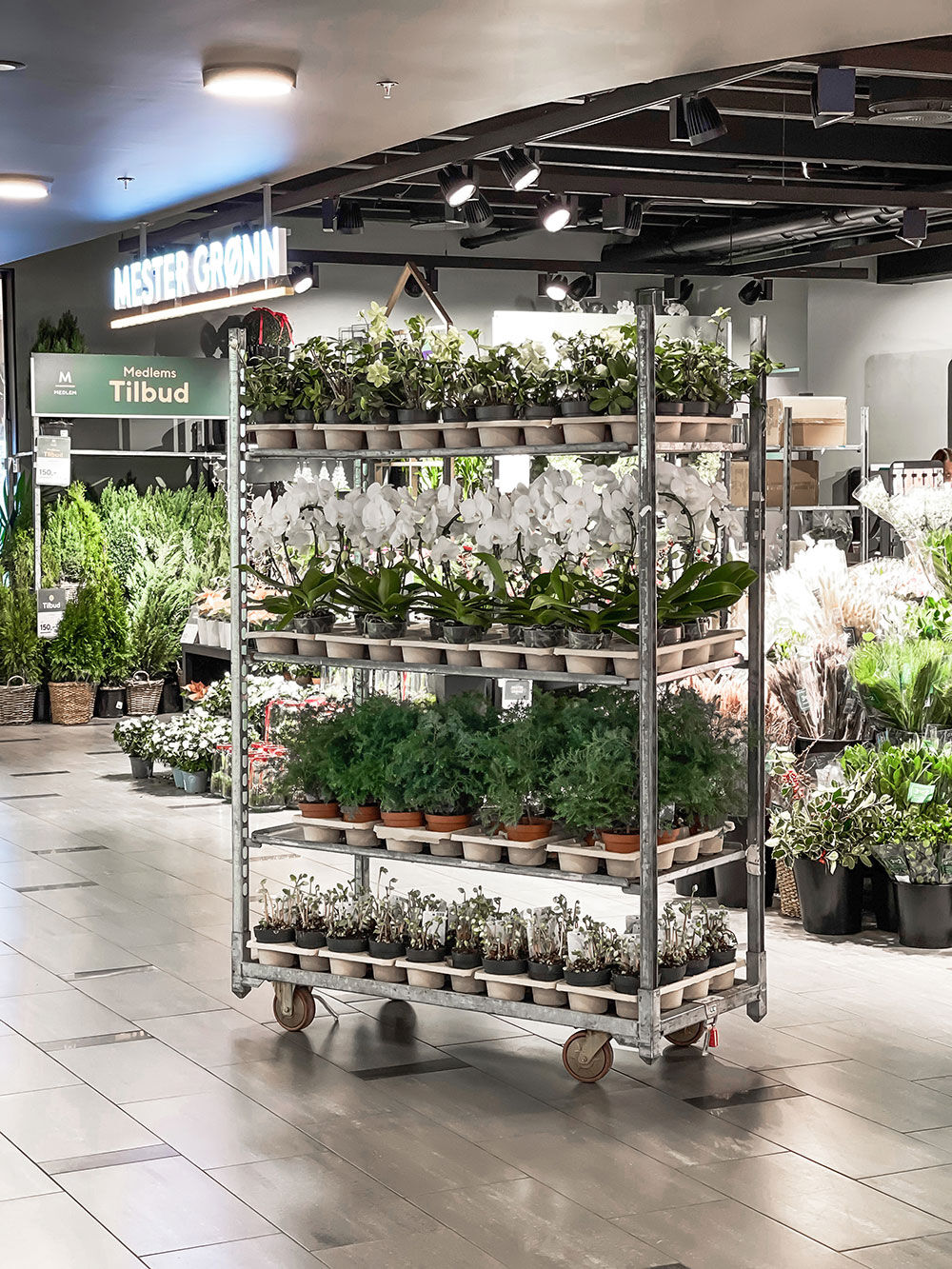 Milj&oslash;vennlige plantebrett
