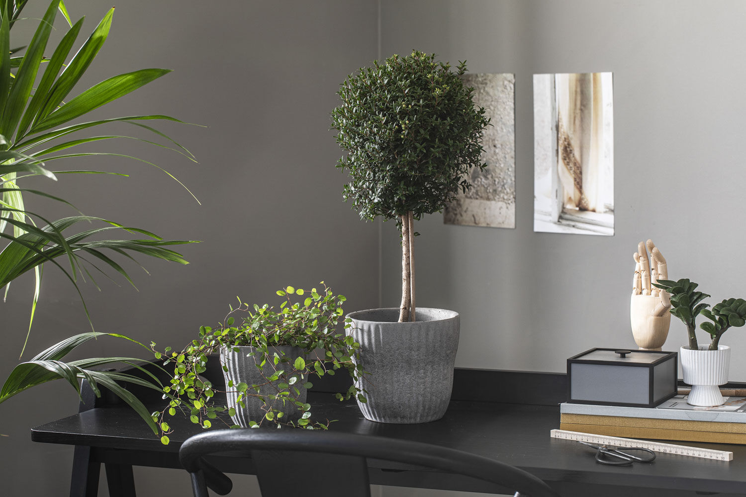 Myrt gr&oslash;nne planter