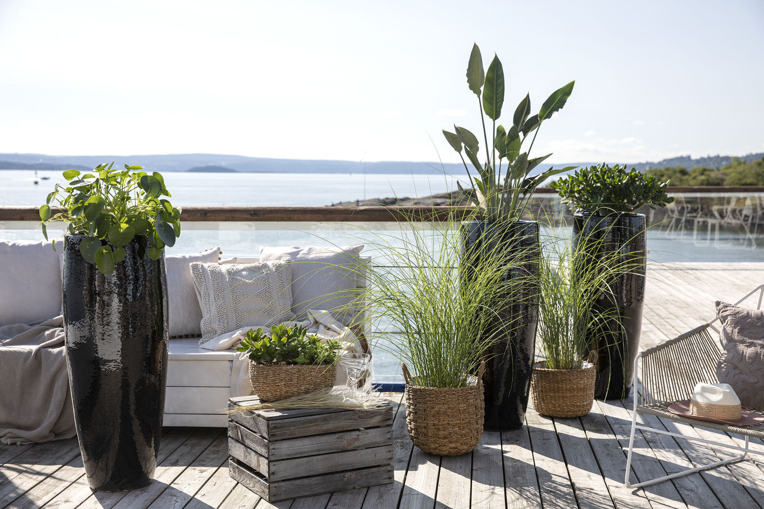 gr&oslash;nne planter p&aring; terrassen