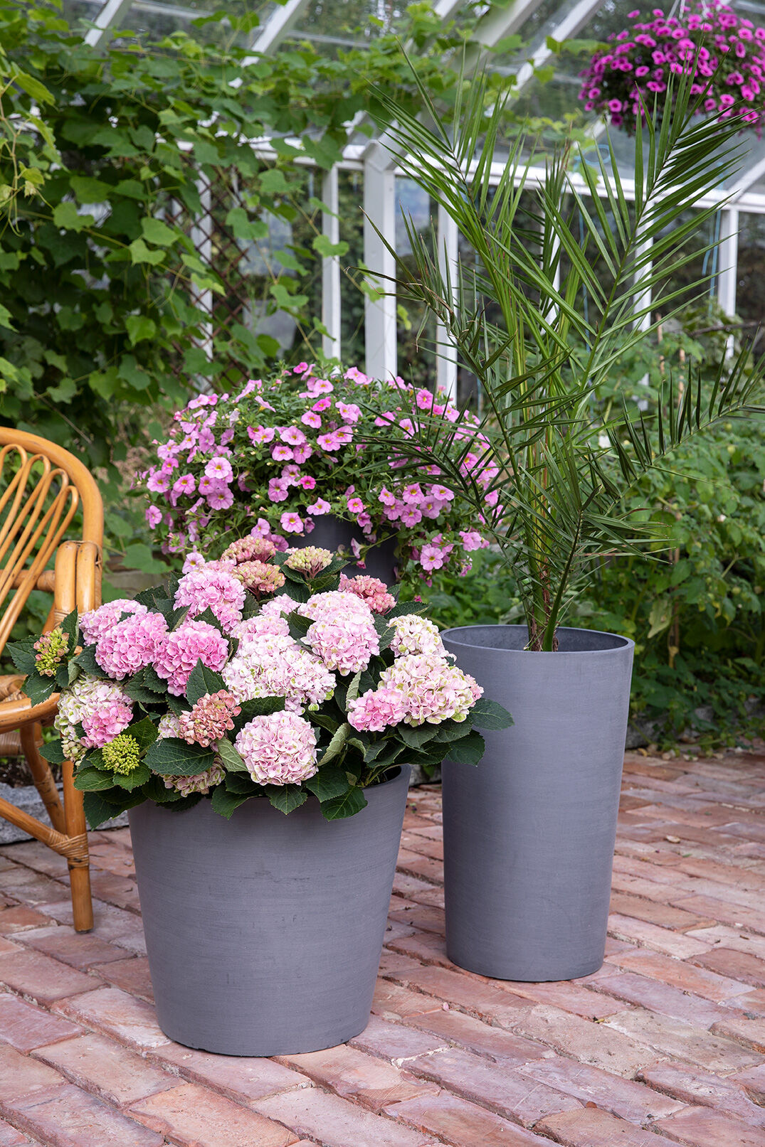 Sommerblomster i Ecopots