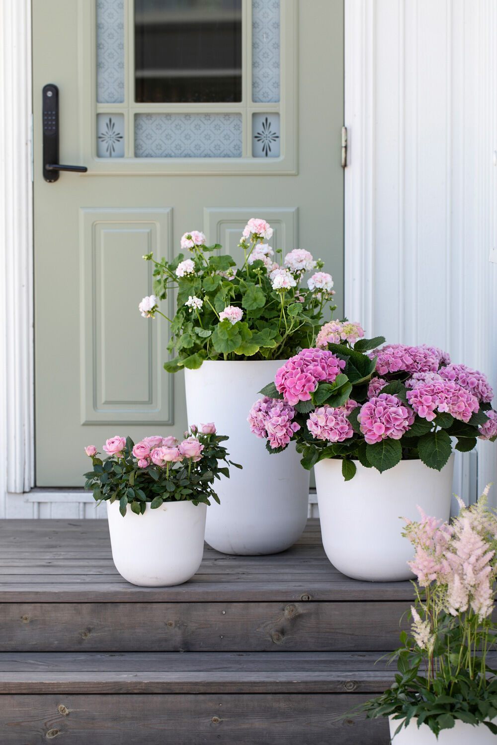 Sommerblomster i Ecopots Oslo