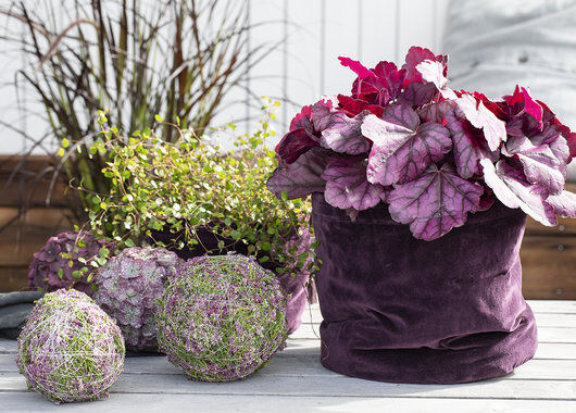 h&oslash;st med lyngkuler og h&oslash;stblomster