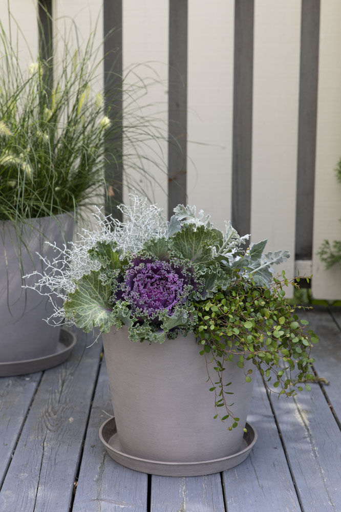 Ecopots utepotte med h&oslash;stblomster