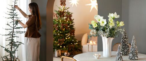 hvite juleblomster 