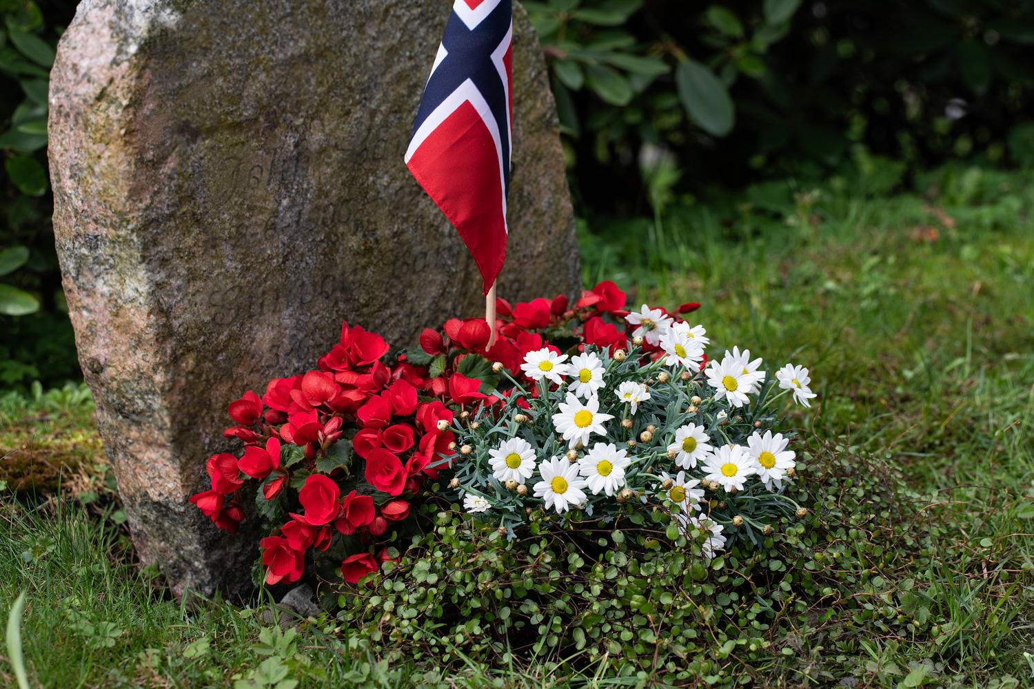 Betulia, margeritt og sommergr&oslash;nt