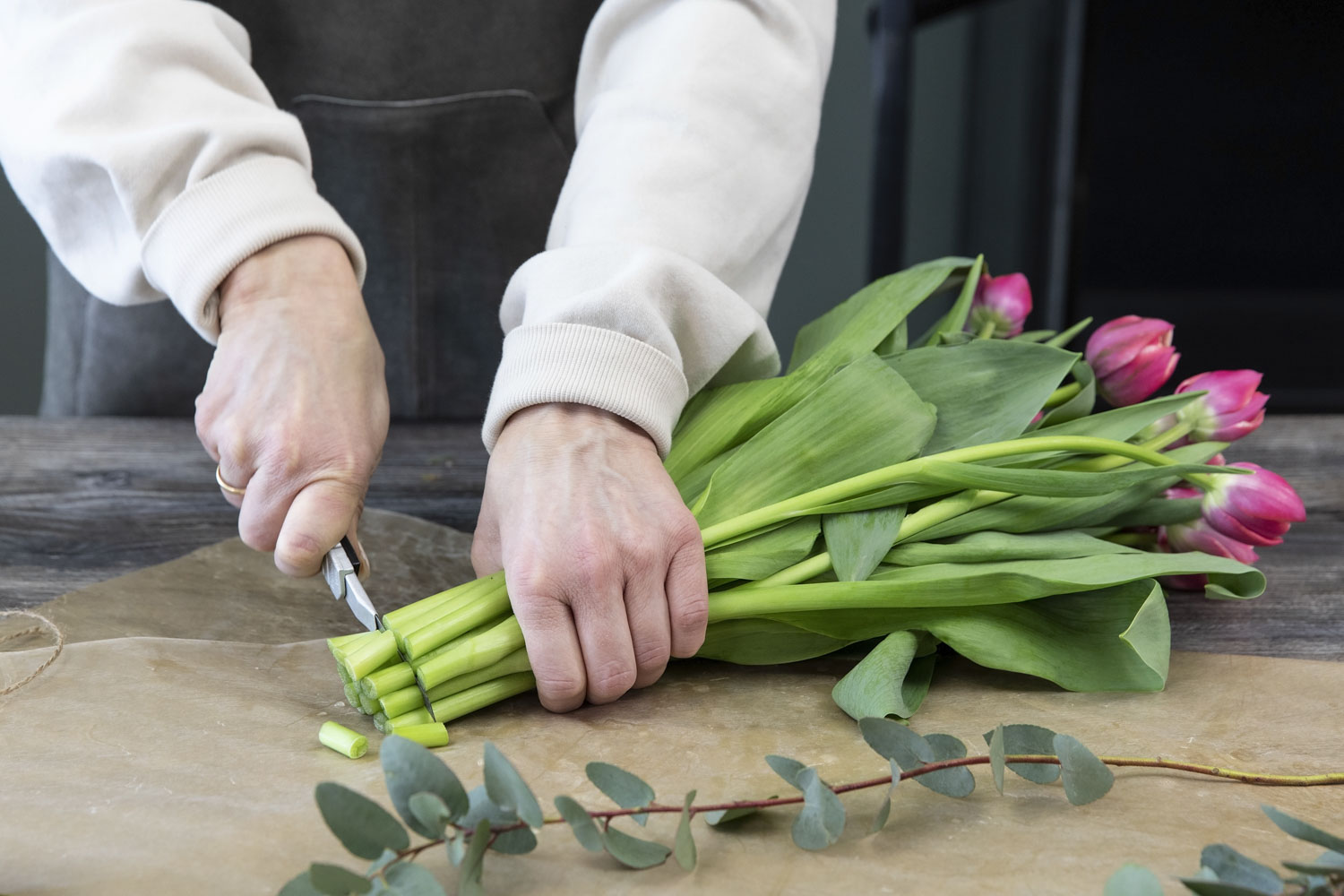 Tulipaner