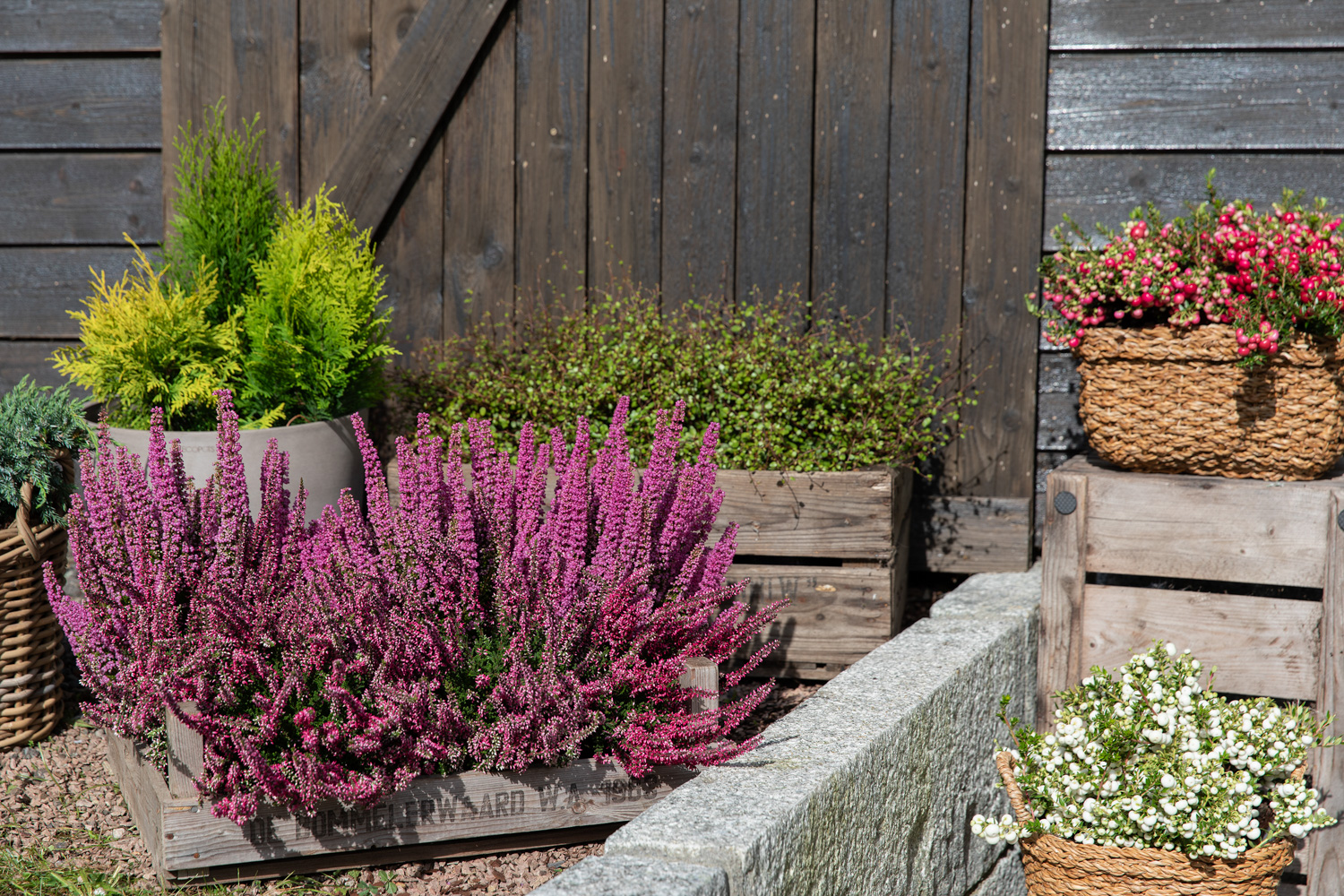 Pynt med h&oslash;stblomster