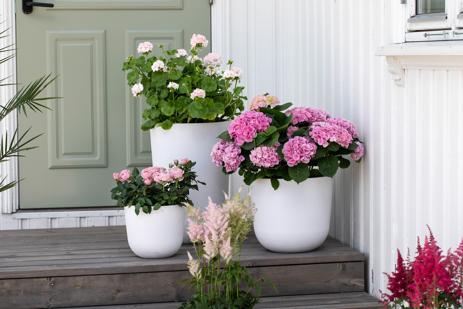 Sommerblomster ved inngangsd&oslash;ren