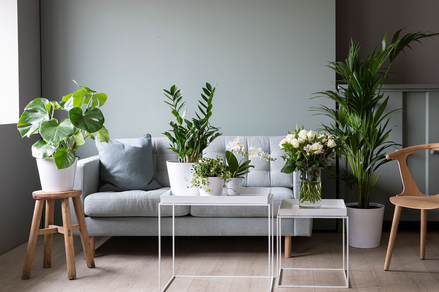 Gr&oslash;nne planter i stuen